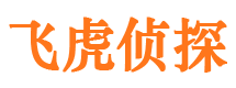 岳阳婚外情调查取证